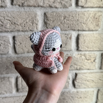 Pembe Pançolu Kedi