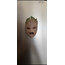 Groot 