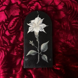 Datura Botanical Painting 