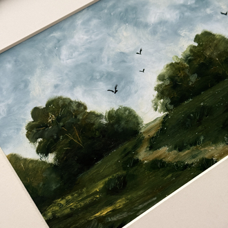 Flying birds above a meadow 