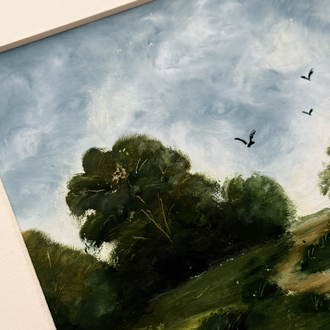 Flying birds above a meadow 