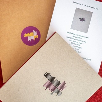 Transforming City Limited Edition 200 Copies Artist - signed and certified 