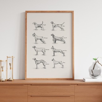 Vintage Köpek Irkları Poster
