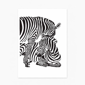 Zebra Poster