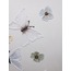 Lepidoptera Texture Tablo
