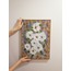 Bellis Texture Tablo