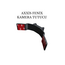 AXXIS FENIX KAMERA TUTUCU