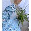 AZURE DRESS 