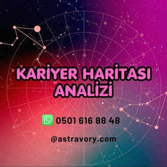 Kariyer Haritası Analizi