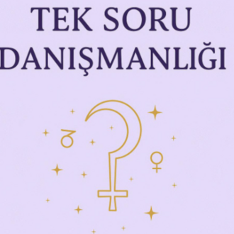 Tek Soru Danışmanlığı