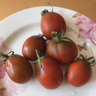 3 adet PURPLE RUSSİAN CHERRY FİDESİ