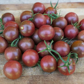 3 adet BLACK CHERRY FİDES