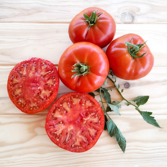 Kanner Hoell Tomato