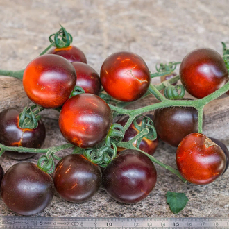 Helsing Junction Blues Tomato 