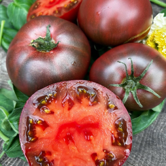 Black From Tula Tomato Tohum Paketi