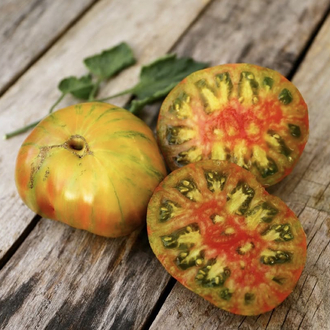 Berkeley Tie Dye Tomato