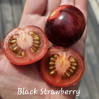 Black Strawberry Tomato Tohum Paketi