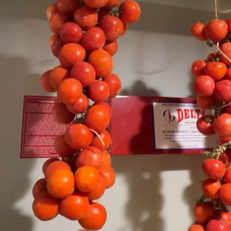 Annarita Tomato ( İtalyan çeşit-3 ay raf ömrü var )