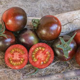 Helsing Junction Blues Tomato 