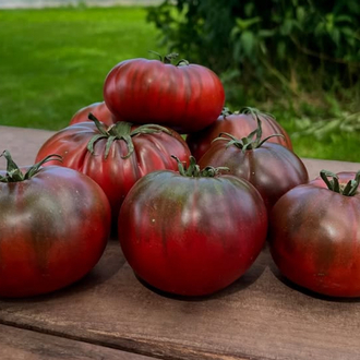 Black From Tula Tomato Tohum Paketi