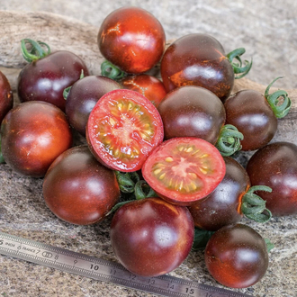 Helsing Junction Blues Tomato 