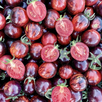 Black Strawberry Tomato Tohum Paketi