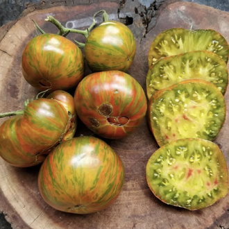 Berkeley Tie Dye Tomato