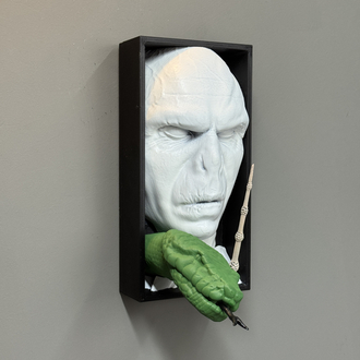 Voldemort Book Nook