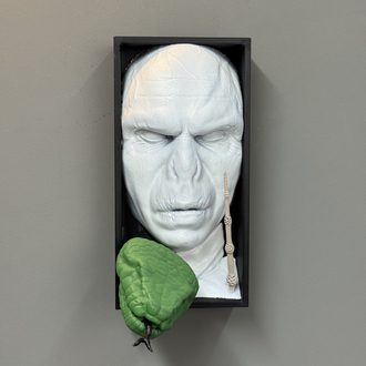Voldemort Book Nook