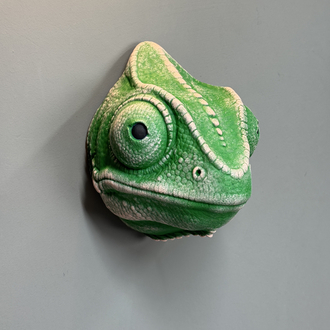Chameleon Wall Mask