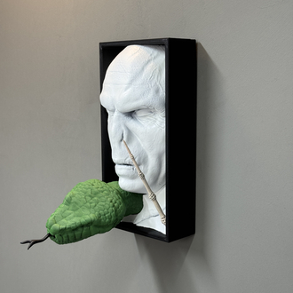 Voldemort Book Nook