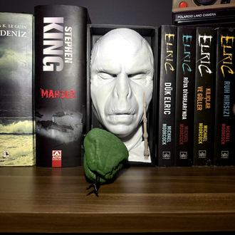 Voldemort Book Nook