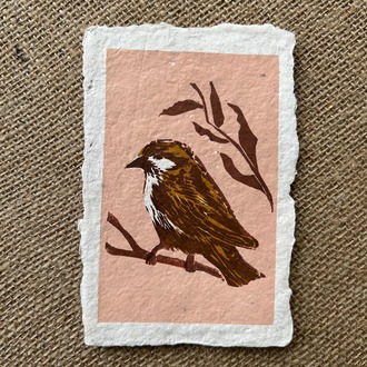 Sparrow