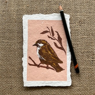 Sparrow