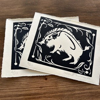 Boar