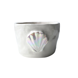 “shell” bardak
