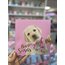 Pink Dog Kilitli Anı Defteri