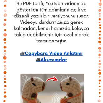 Amigurumi Çıt Çıtlı Stres Oyuncağı Capybara Tarifi