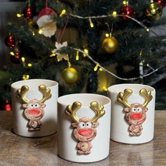 sweet deers