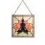 Siddhasana Vitray Pano
