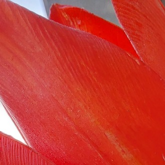TULIP (artificial) Made to order item Gassal Tabii series prop