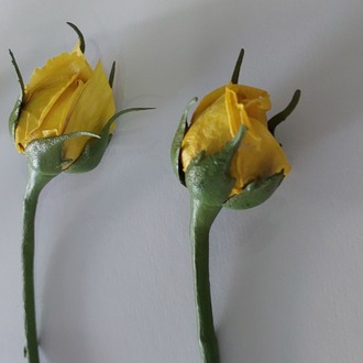 ROSE (artificial) Made to order 