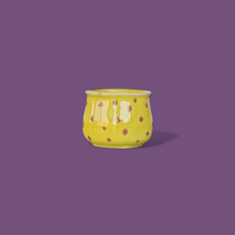 Mini Nomi Kupa