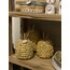 Ananas biblo s