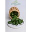 BEBEK AVOKADO-500 GR
