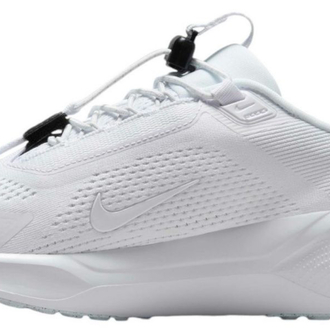 Nike Pegasus easy on
