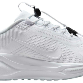 Nike Pegasus easy on