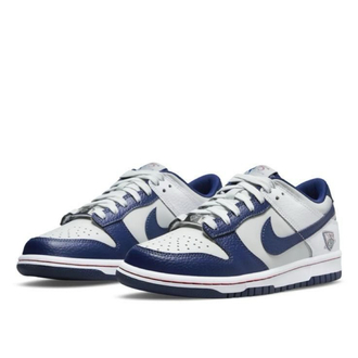 Nike Dunk Low SB NETS