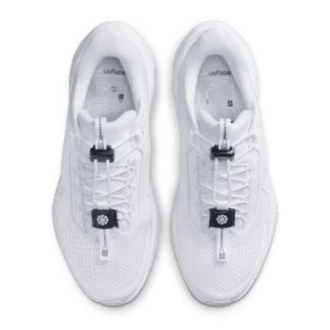 Nike Pegasus easy on