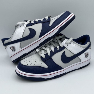 Nike Dunk Low SB NETS